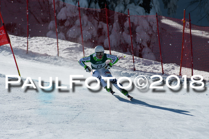 FIS, Int. Dt. Meisterschaft Abfahrt, Training, NC, NJC Damen + Herren, 22.03.2018