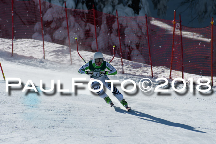 FIS, Int. Dt. Meisterschaft Abfahrt, Training, NC, NJC Damen + Herren, 22.03.2018