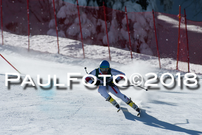 FIS, Int. Dt. Meisterschaft Abfahrt, Training, NC, NJC Damen + Herren, 22.03.2018