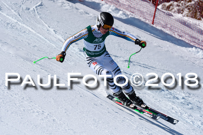 FIS, Int. Dt. Meisterschaft Abfahrt, Training, NC, NJC Damen + Herren, 22.03.2018
