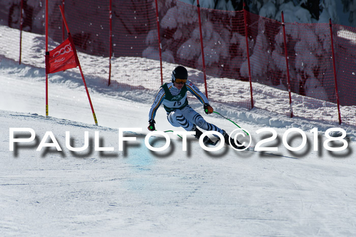 FIS, Int. Dt. Meisterschaft Abfahrt, Training, NC, NJC Damen + Herren, 22.03.2018