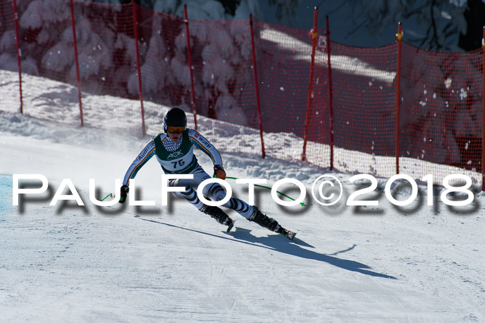 FIS, Int. Dt. Meisterschaft Abfahrt, Training, NC, NJC Damen + Herren, 22.03.2018