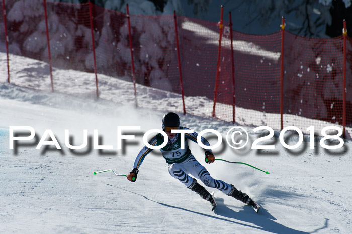 FIS, Int. Dt. Meisterschaft Abfahrt, Training, NC, NJC Damen + Herren, 22.03.2018