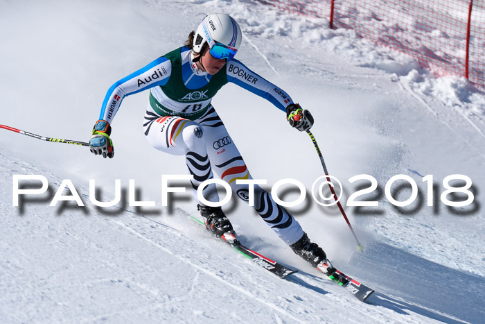 FIS, Int. Dt. Meisterschaft Abfahrt, Training, NC, NJC Damen + Herren, 22.03.2018