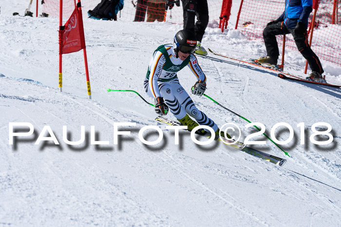 FIS, Int. Dt. Meisterschaft Abfahrt, Training, NC, NJC Damen + Herren, 22.03.2018