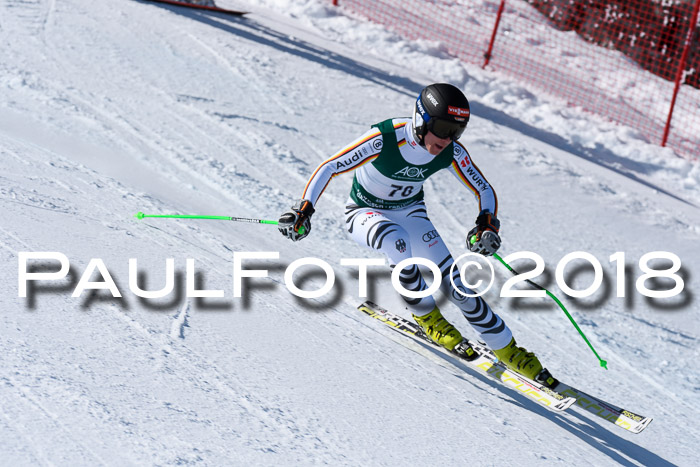 FIS, Int. Dt. Meisterschaft Abfahrt, Training, NC, NJC Damen + Herren, 22.03.2018