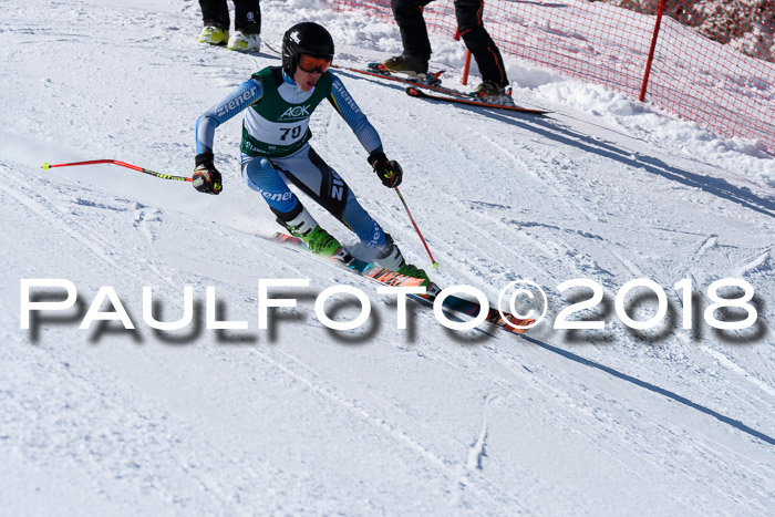 FIS, Int. Dt. Meisterschaft Abfahrt, Training, NC, NJC Damen + Herren, 22.03.2018