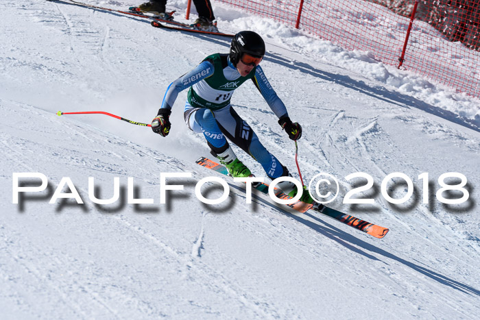 FIS, Int. Dt. Meisterschaft Abfahrt, Training, NC, NJC Damen + Herren, 22.03.2018