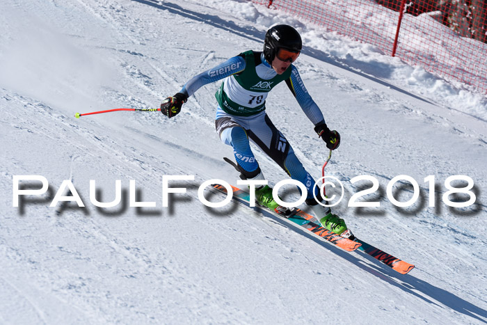FIS, Int. Dt. Meisterschaft Abfahrt, Training, NC, NJC Damen + Herren, 22.03.2018