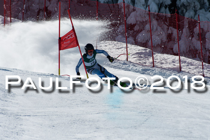 FIS, Int. Dt. Meisterschaft Abfahrt, Training, NC, NJC Damen + Herren, 22.03.2018