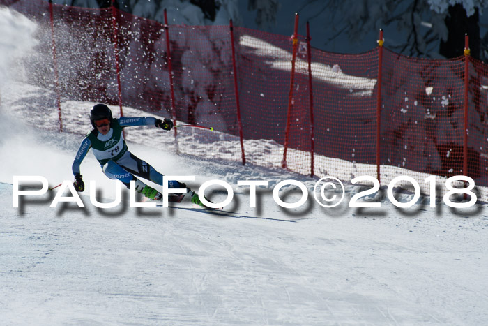 FIS, Int. Dt. Meisterschaft Abfahrt, Training, NC, NJC Damen + Herren, 22.03.2018