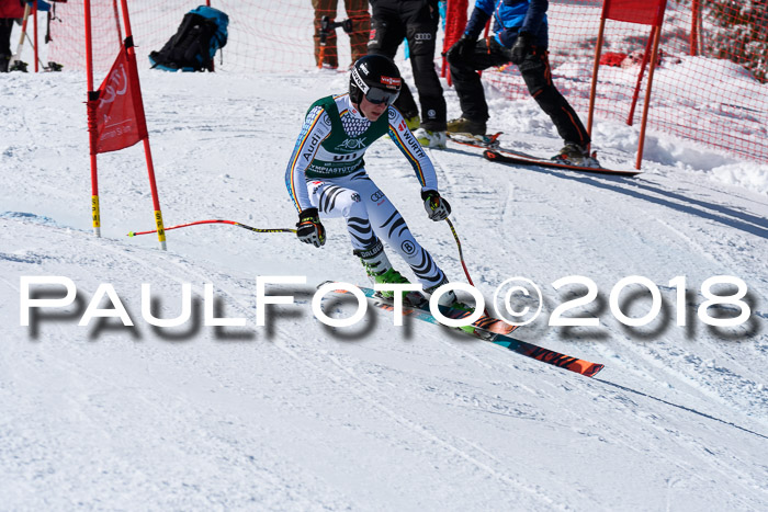 FIS, Int. Dt. Meisterschaft Abfahrt, Training, NC, NJC Damen + Herren, 22.03.2018