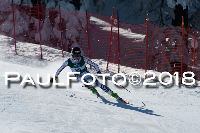 FIS, Int. Dt. Meisterschaft Abfahrt, Training, NC, NJC Damen + Herren, 22.03.2018