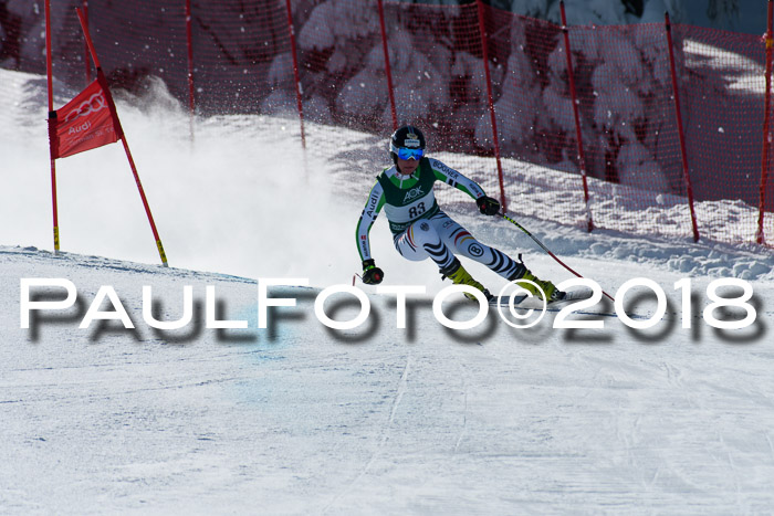 FIS, Int. Dt. Meisterschaft Abfahrt, Training, NC, NJC Damen + Herren, 22.03.2018