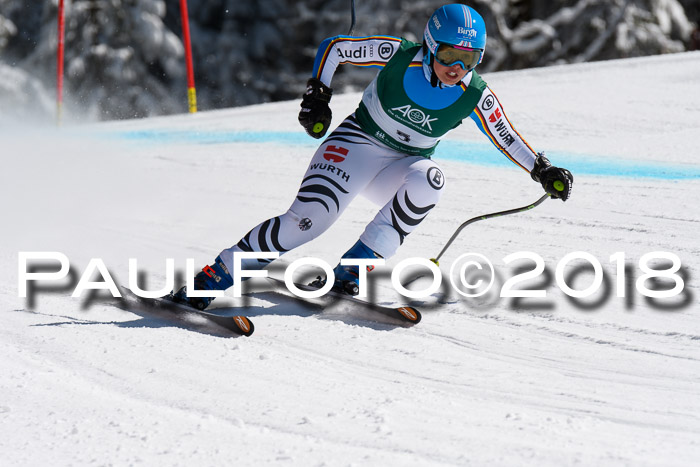 FIS, Int. Dt. Meisterschaft Abfahrt, Training, NC, NJC Damen + Herren, 22.03.2018