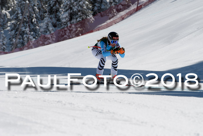 FIS, Int. Dt. Meisterschaft Abfahrt, Training, NC, NJC Damen + Herren, 22.03.2018