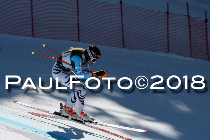 FIS, Int. Dt. Meisterschaft Abfahrt, Training, NC, NJC Damen + Herren, 22.03.2018