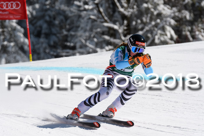 FIS, Int. Dt. Meisterschaft Abfahrt, Training, NC, NJC Damen + Herren, 22.03.2018