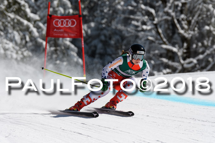 FIS, Int. Dt. Meisterschaft Abfahrt, Training, NC, NJC Damen + Herren, 22.03.2018