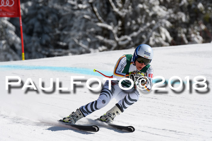 FIS, Int. Dt. Meisterschaft Abfahrt, Training, NC, NJC Damen + Herren, 22.03.2018
