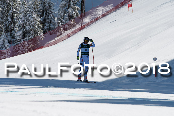 FIS, Int. Dt. Meisterschaft Abfahrt, Training, NC, NJC Damen + Herren, 22.03.2018