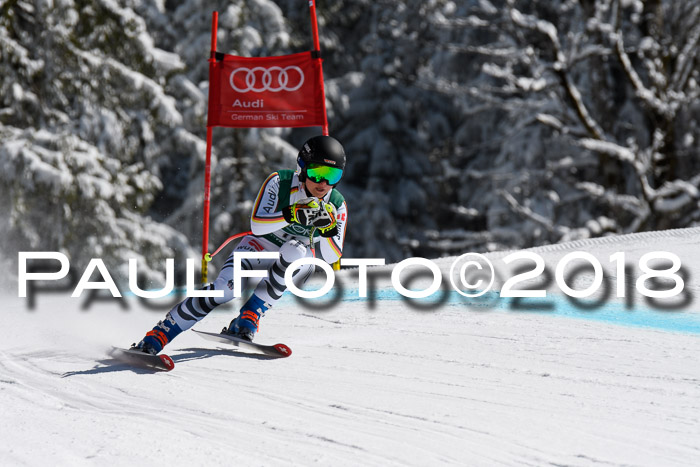 FIS, Int. Dt. Meisterschaft Abfahrt, Training, NC, NJC Damen + Herren, 22.03.2018