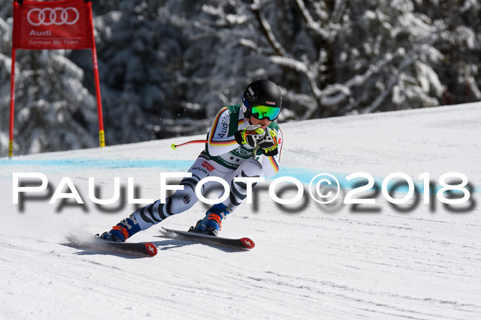 FIS, Int. Dt. Meisterschaft Abfahrt, Training, NC, NJC Damen + Herren, 22.03.2018