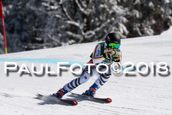FIS, Int. Dt. Meisterschaft Abfahrt, Training, NC, NJC Damen + Herren, 22.03.2018