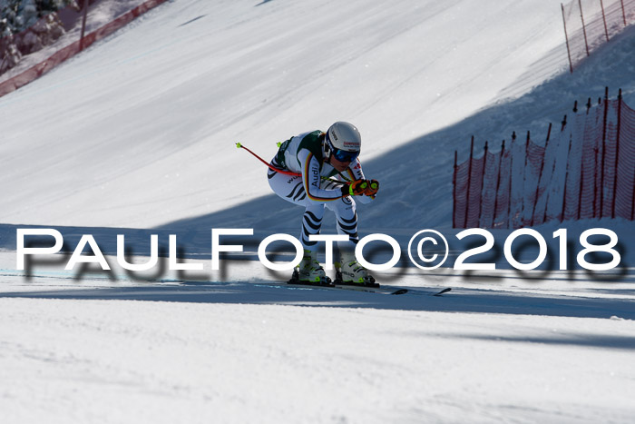 FIS, Int. Dt. Meisterschaft Abfahrt, Training, NC, NJC Damen + Herren, 22.03.2018