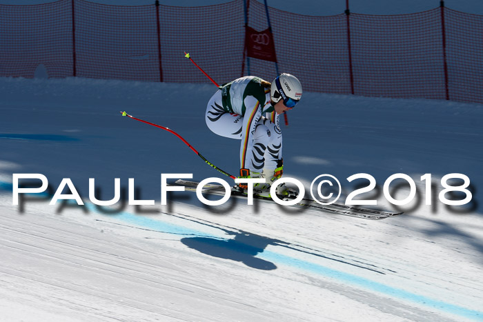 FIS, Int. Dt. Meisterschaft Abfahrt, Training, NC, NJC Damen + Herren, 22.03.2018