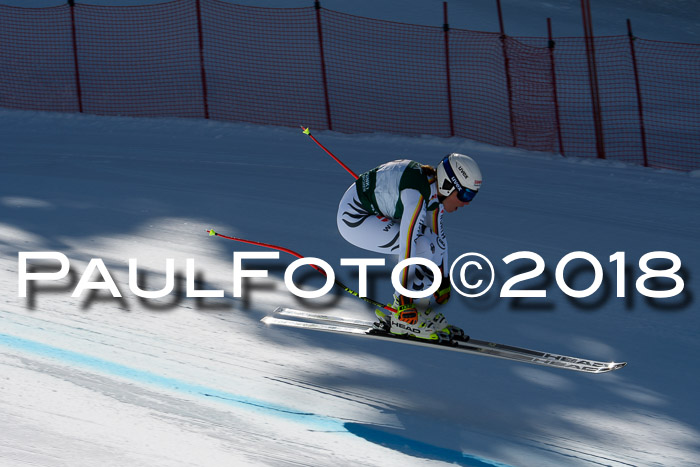 FIS, Int. Dt. Meisterschaft Abfahrt, Training, NC, NJC Damen + Herren, 22.03.2018