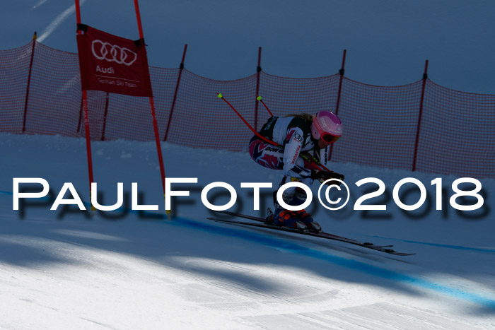 FIS, Int. Dt. Meisterschaft Abfahrt, Training, NC, NJC Damen + Herren, 22.03.2018