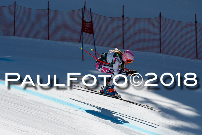 FIS, Int. Dt. Meisterschaft Abfahrt, Training, NC, NJC Damen + Herren, 22.03.2018