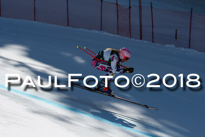 FIS, Int. Dt. Meisterschaft Abfahrt, Training, NC, NJC Damen + Herren, 22.03.2018