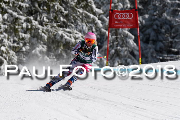 FIS, Int. Dt. Meisterschaft Abfahrt, Training, NC, NJC Damen + Herren, 22.03.2018