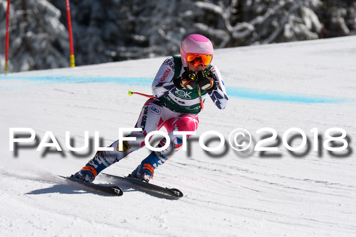 FIS, Int. Dt. Meisterschaft Abfahrt, Training, NC, NJC Damen + Herren, 22.03.2018