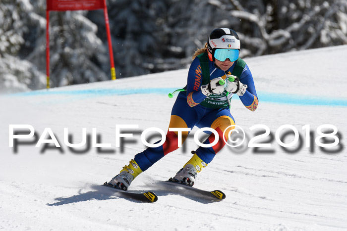 FIS, Int. Dt. Meisterschaft Abfahrt, Training, NC, NJC Damen + Herren, 22.03.2018