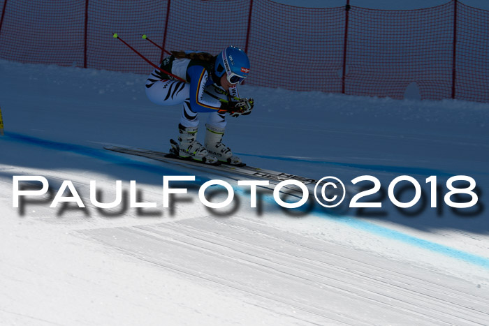 FIS, Int. Dt. Meisterschaft Abfahrt, Training, NC, NJC Damen + Herren, 22.03.2018