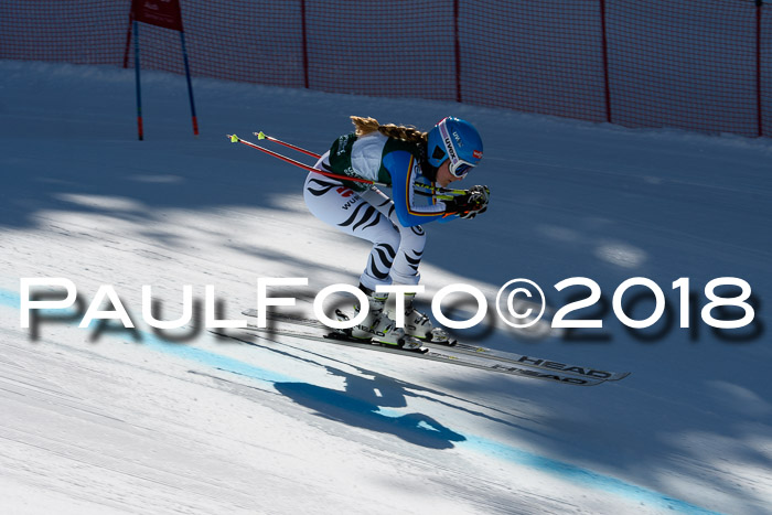 FIS, Int. Dt. Meisterschaft Abfahrt, Training, NC, NJC Damen + Herren, 22.03.2018