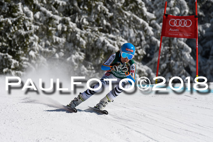 FIS, Int. Dt. Meisterschaft Abfahrt, Training, NC, NJC Damen + Herren, 22.03.2018