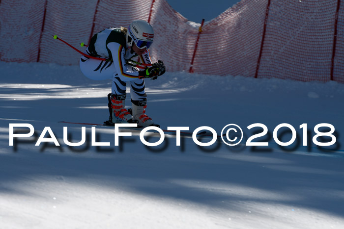 FIS, Int. Dt. Meisterschaft Abfahrt, Training, NC, NJC Damen + Herren, 22.03.2018