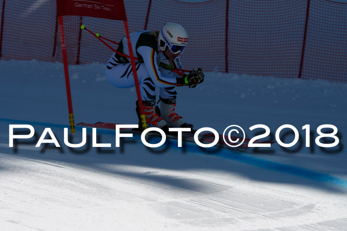 FIS, Int. Dt. Meisterschaft Abfahrt, Training, NC, NJC Damen + Herren, 22.03.2018