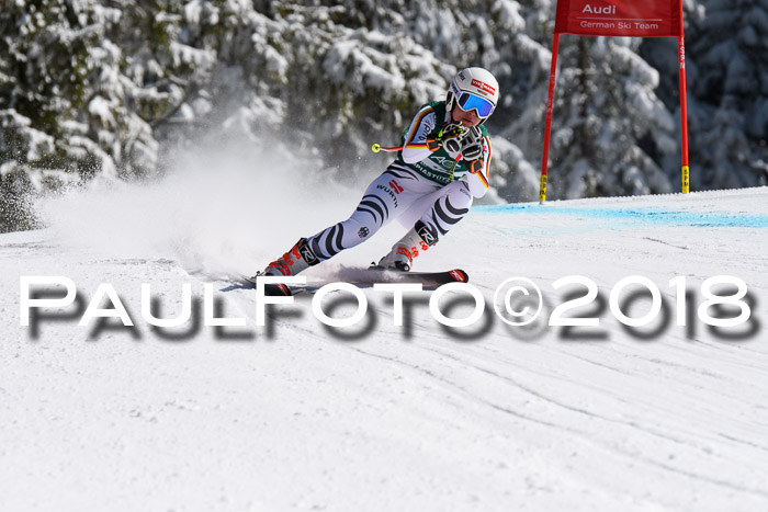 FIS, Int. Dt. Meisterschaft Abfahrt, Training, NC, NJC Damen + Herren, 22.03.2018