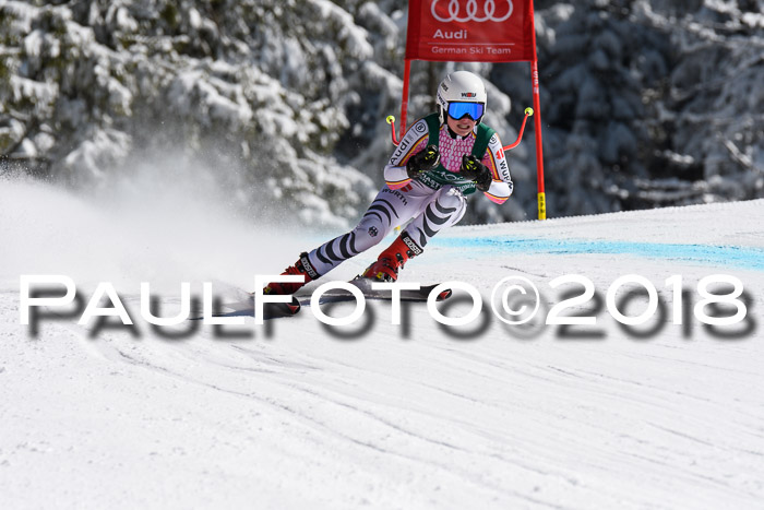 FIS, Int. Dt. Meisterschaft Abfahrt, Training, NC, NJC Damen + Herren, 22.03.2018
