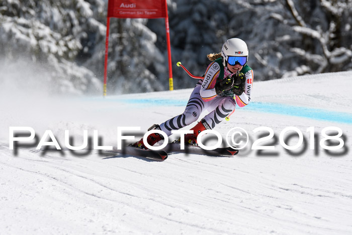 FIS, Int. Dt. Meisterschaft Abfahrt, Training, NC, NJC Damen + Herren, 22.03.2018
