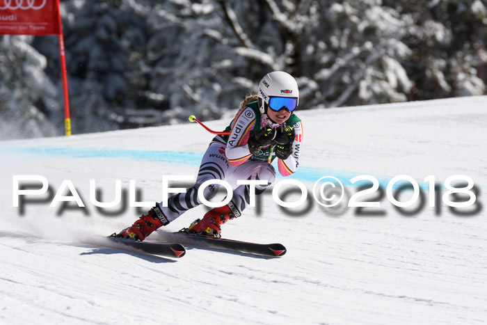 FIS, Int. Dt. Meisterschaft Abfahrt, Training, NC, NJC Damen + Herren, 22.03.2018
