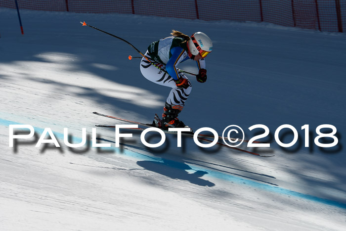 FIS, Int. Dt. Meisterschaft Abfahrt, Training, NC, NJC Damen + Herren, 22.03.2018