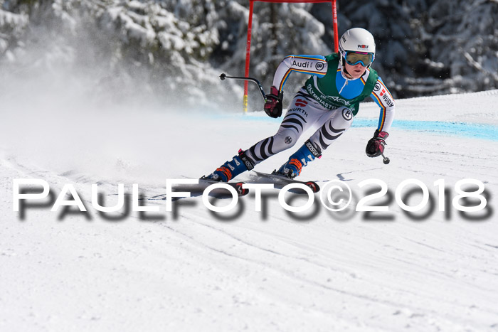 FIS, Int. Dt. Meisterschaft Abfahrt, Training, NC, NJC Damen + Herren, 22.03.2018