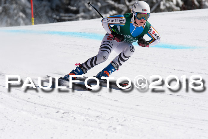 FIS, Int. Dt. Meisterschaft Abfahrt, Training, NC, NJC Damen + Herren, 22.03.2018
