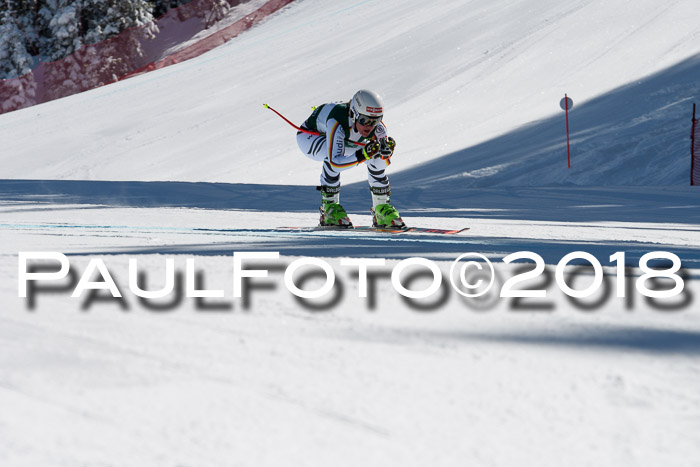 FIS, Int. Dt. Meisterschaft Abfahrt, Training, NC, NJC Damen + Herren, 22.03.2018